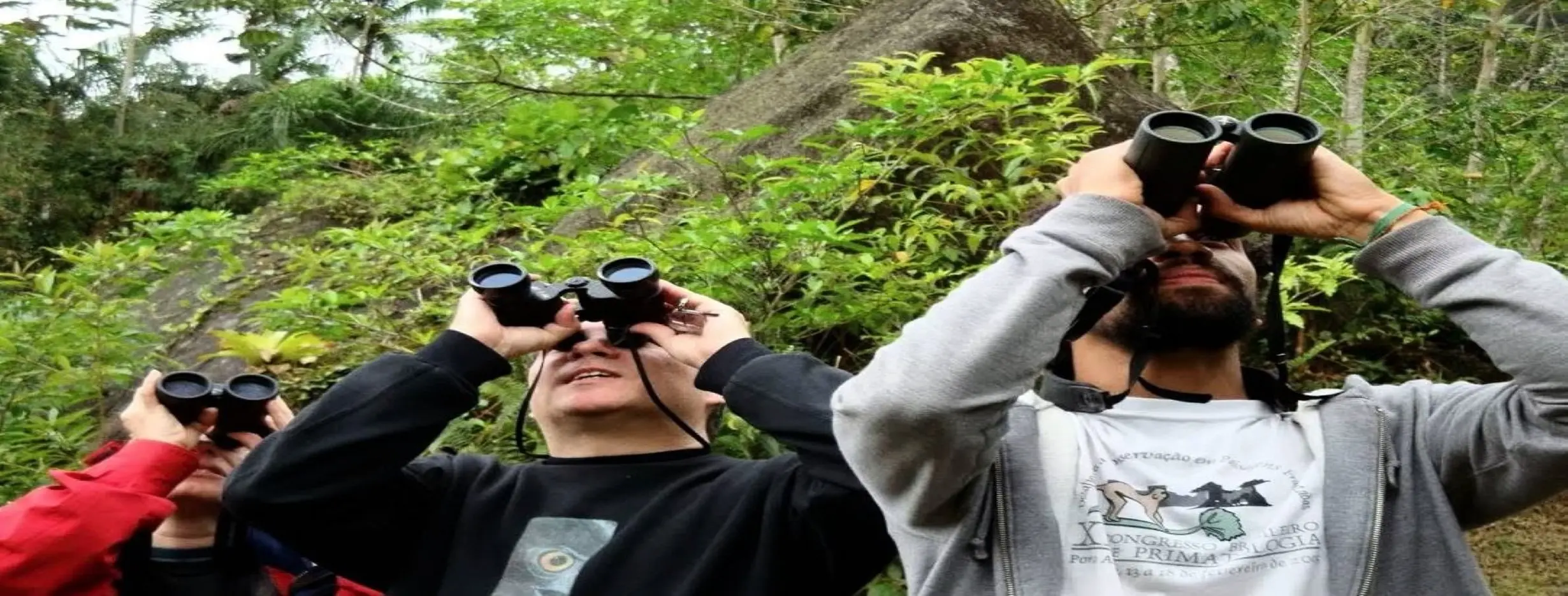 Image for Bird Watching